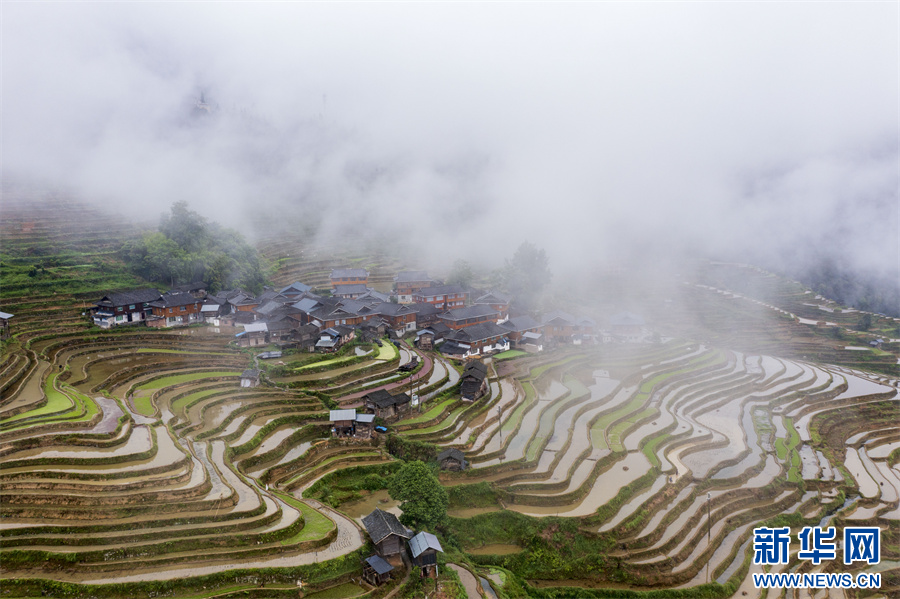 加榜梯田最新,加榜梯田