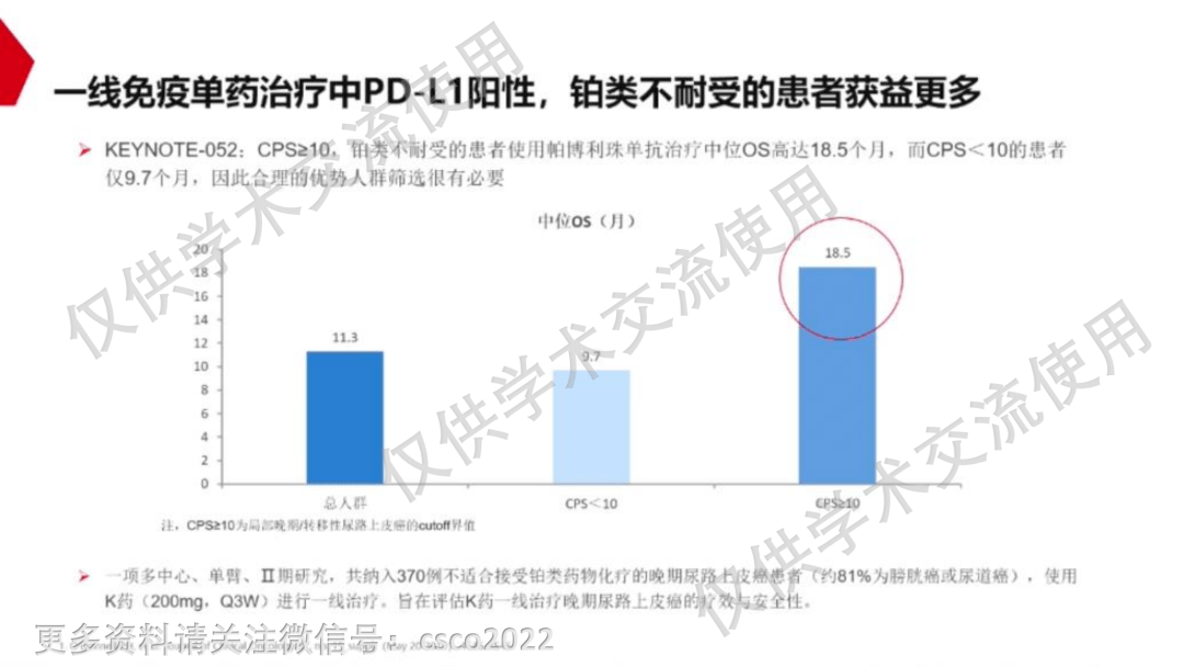 关于最新疫情规定解读与动态更新的报道分析