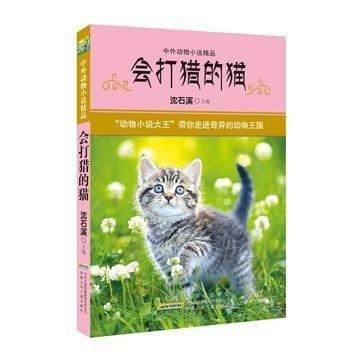 懒猫小说深度解读，背景揭秘与最新章节剖析