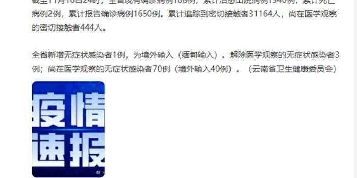 探秘独特小店，全球新增病例下的意外惊喜——11月4日最新海外疫情与独特店铺观察