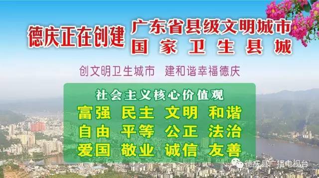 央视公益广告日，温馨陪伴的小时光（2024年11月8日最新公益广告回顾）