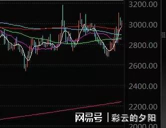 揭秘热点事件与最新趋势，11月15选5最新分析