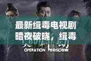 最新缉毒电视剧暗夜破晓,缉毒行动2024深度解析与赏析