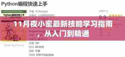 11月夜小蜜最新技能学习指南,从入门到精通